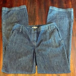 Classic Ann Taylor Jeans  L42" / Sz:10